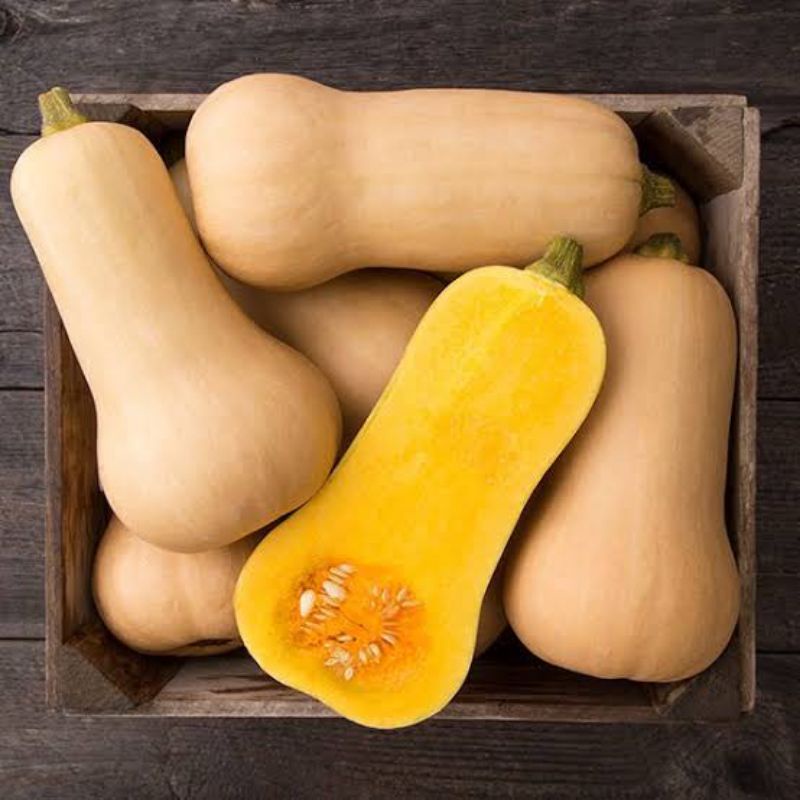 

Labu Butternut Organik/Import