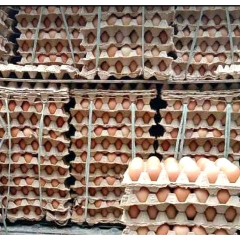 

Telur ayam ecer per 10butir