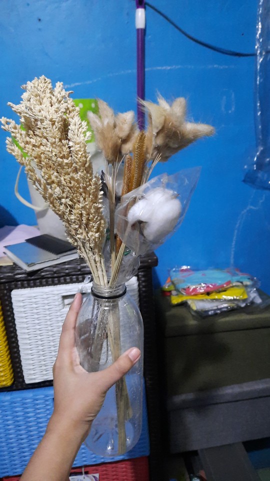 Dried Lino Bunga Kering Asli Natural Buket Bouquet Jequirity Rustic Coriander Driedflower Dekorasi