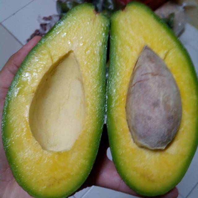 

Alpukat mentega