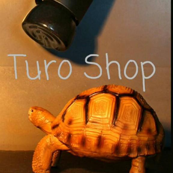 Gais Lampu Pemanas Penghangat Hewan Reptil Kura Kura Iguana