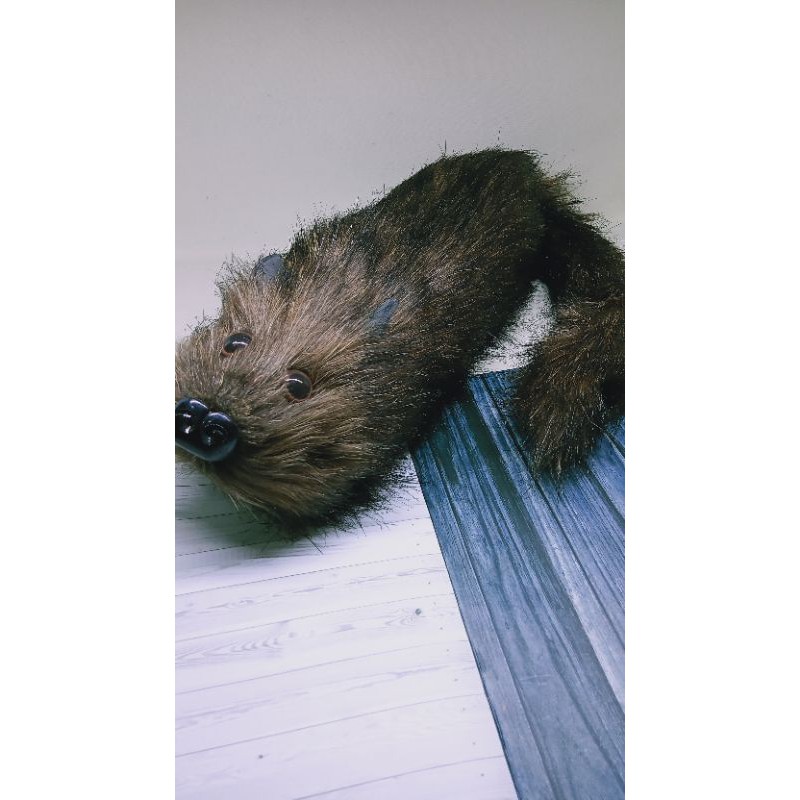 Mainan*Unik*Boneka*Rocky*Racoon