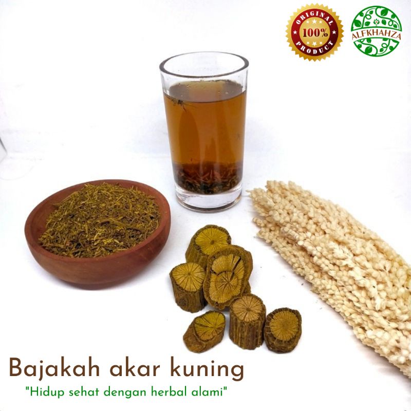 

Akar bajakah akar kuning rajang / serbuk original 250gram