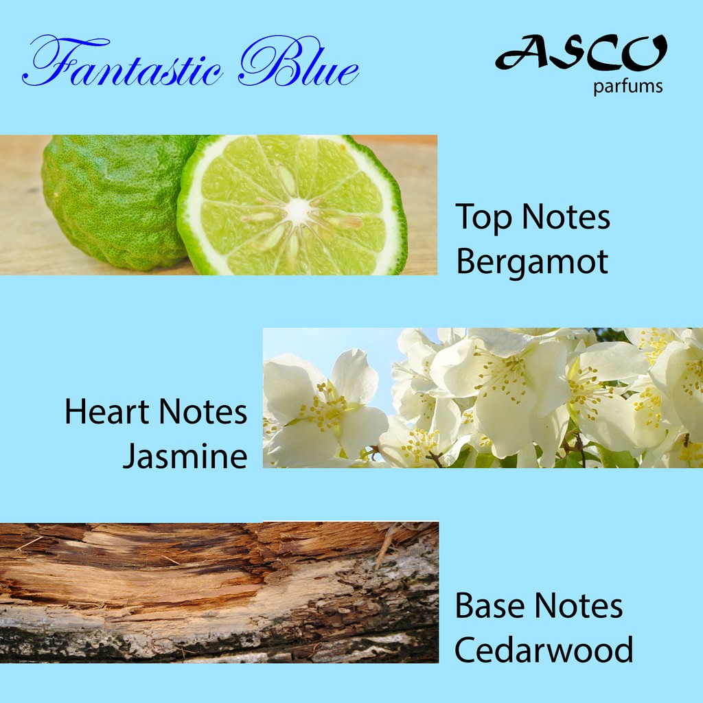 ASCO Fantastic Blue | EDT Parfum Perfume Eau de Toilette Minyak Wangi ✰ ascocobeauty ✰