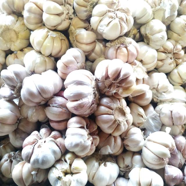 

Bawang putih segar Garlic