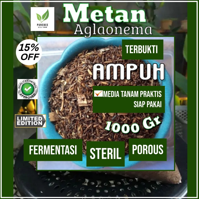 media tanam subur super aglonema aglaonema aglo fermentasi organik cocopit pasir malang pakis porous