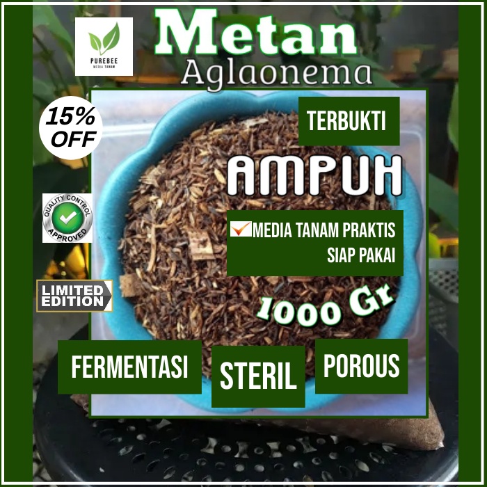 Media tanam subur super aglonema aglaonema aglo fermentasi organik cocopit pasir malang pakis porous