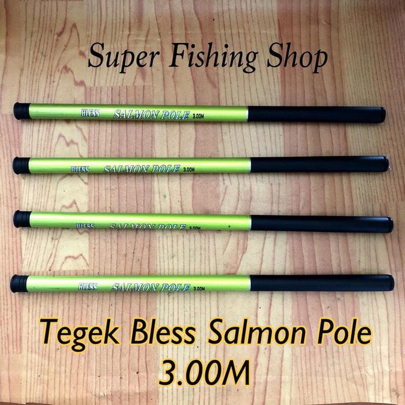 Tegek Bless Salmon Pole 3.00M