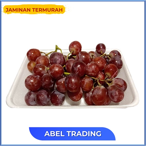 

ANGGUR RED GLOBE RRC 500 GR