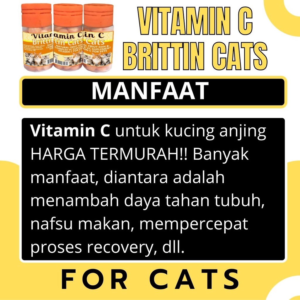 Vitamin C Imun Daya Tahan Tubuh Penambah Nafsu Makan Kucing FEFARM