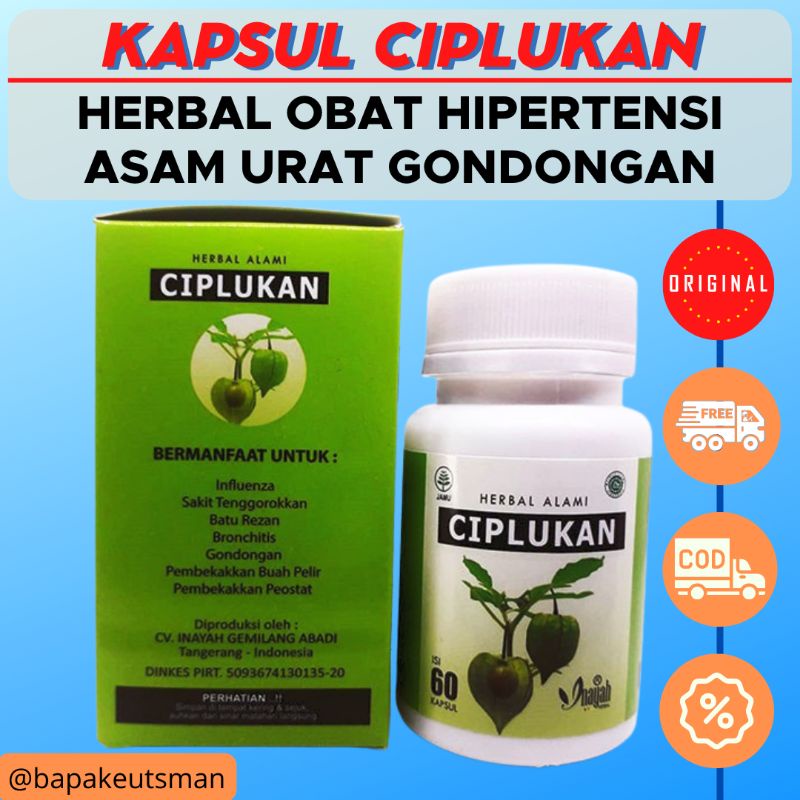 CIPLUKAN KAPSUL ORIGINAL [INAYAH] – OBAT HERBAL DIABETES – HYPERTENSI – REMATIK – SAKIT PARU-PARU – INFLUENZA