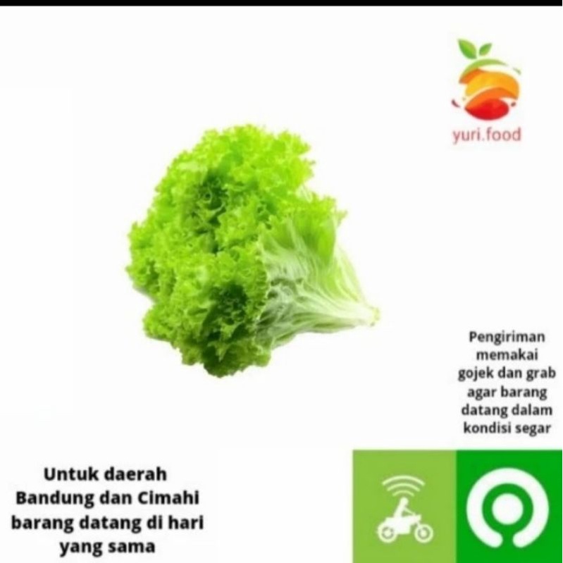

Selada Keriting 200 gr