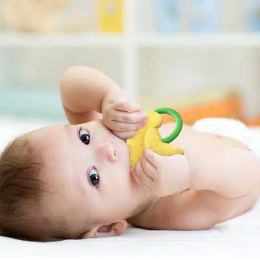Teether Gigitan Bentuk Buah/Teether Bahan Silikon/Gigitan Bayi/C221