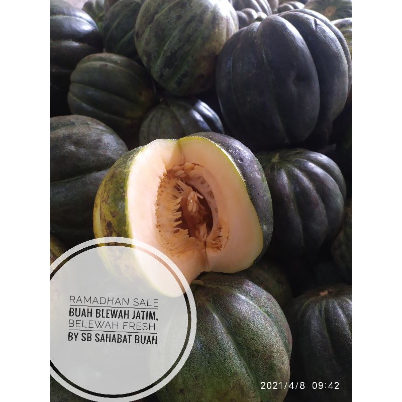 

BUAH BLEWAH / BELEWAH SEGAR