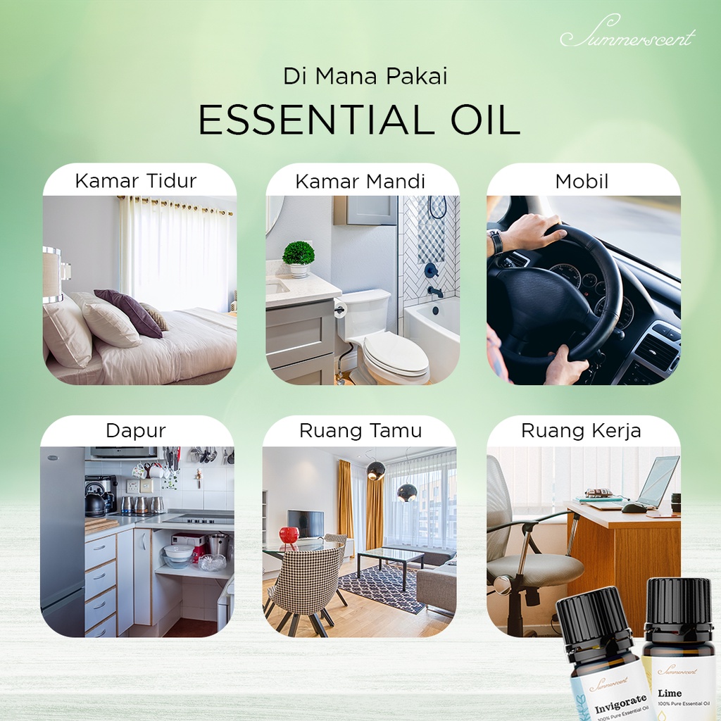 Pengharum Ruangan Pewangi Ruangan Otomatis Essential Oil Summerscent Essentials Esensial Oil Essential Oil Minyak Esensial Aromatherapy Bayi Diffuser Humidifier Cough And Flu 10ml