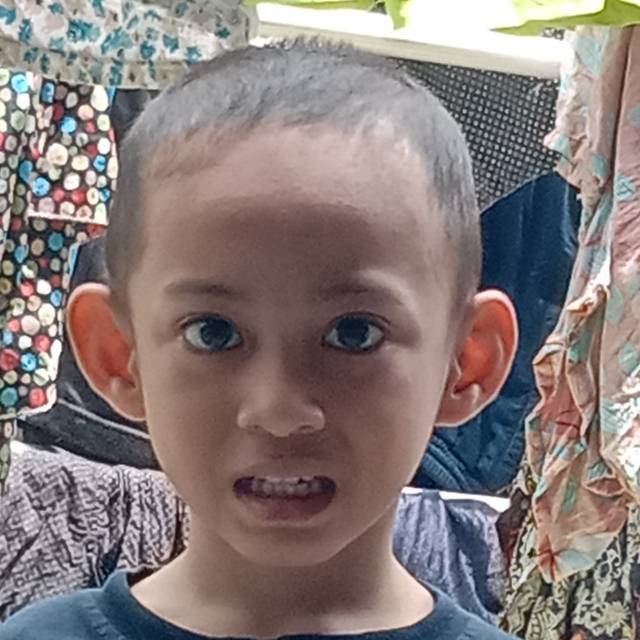 iwan513