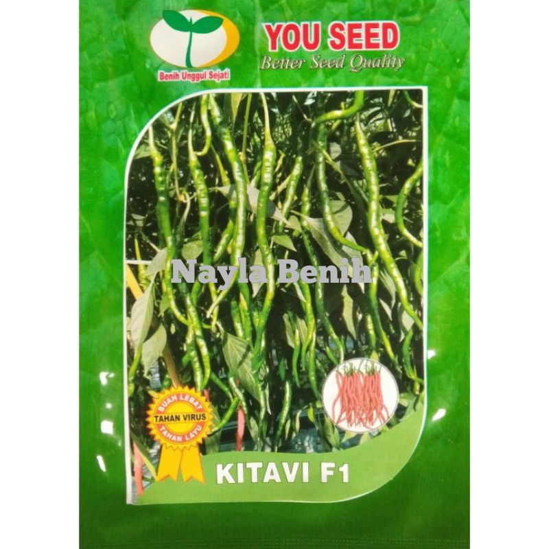 Benih Cabai Keriting KITAVI F1 dari You Seed