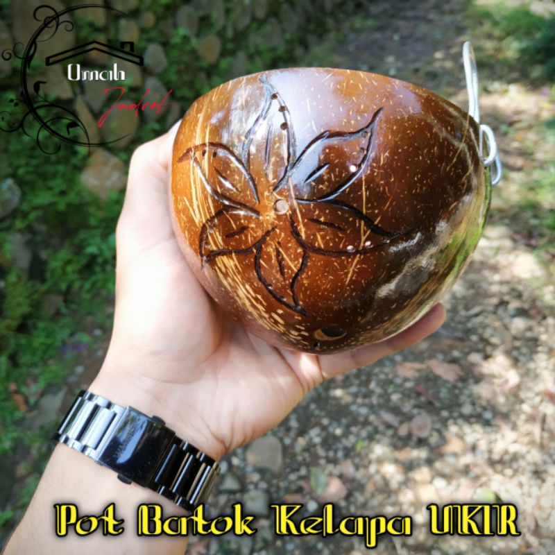 Pot Batok Kelapa UKIRAN Bunga tempel dinding / pot bunga