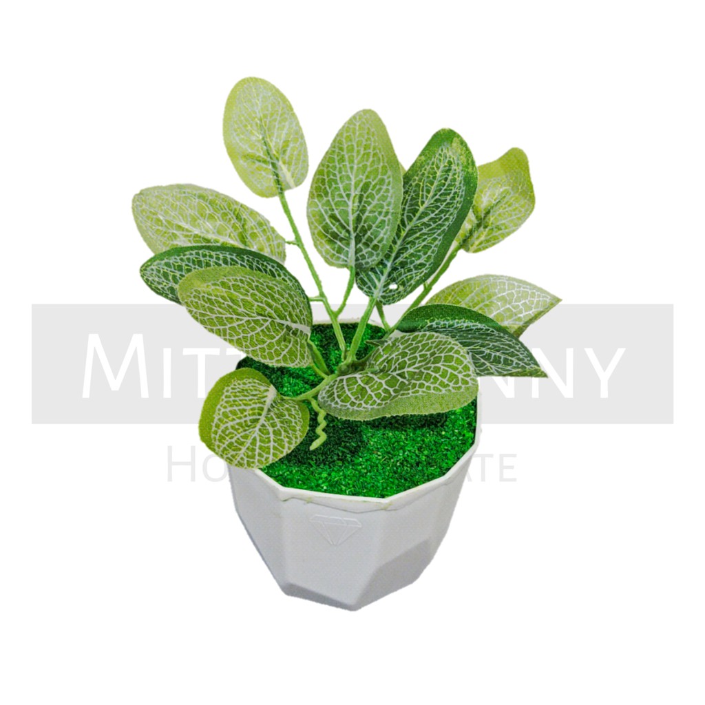 TANAMAN BUNGA ARTIFICIAL BUNGA HIAS DEKORASI HIASAN RUMAH BUNGA PLASTIK MURAH BUNGA AGLONEMA MINI-KD-009