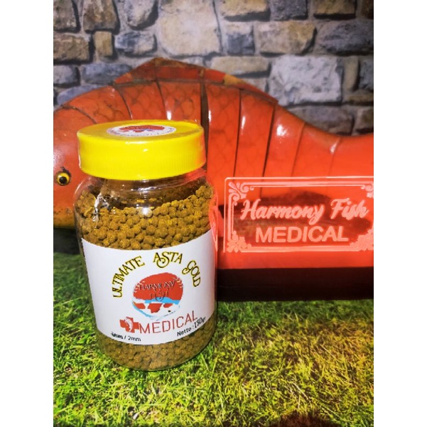 ULTIMATE ASTA GOLD 130GR 1MM 2MM Pelet Kuning Ikan Yellow Koki Channa YS Sentarum Maru Koi Cichlid P