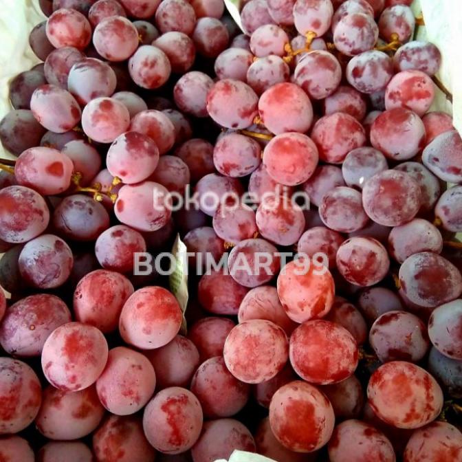

ANGGUR RED GLOBE PREMIUM FRESH IMPORT 6KG / BOX FH51515ED
