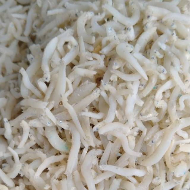 

TERI NASI TANJUNGBALAI/MEDAN FRESH