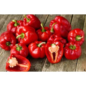 

Paprika Merah Super Fresh