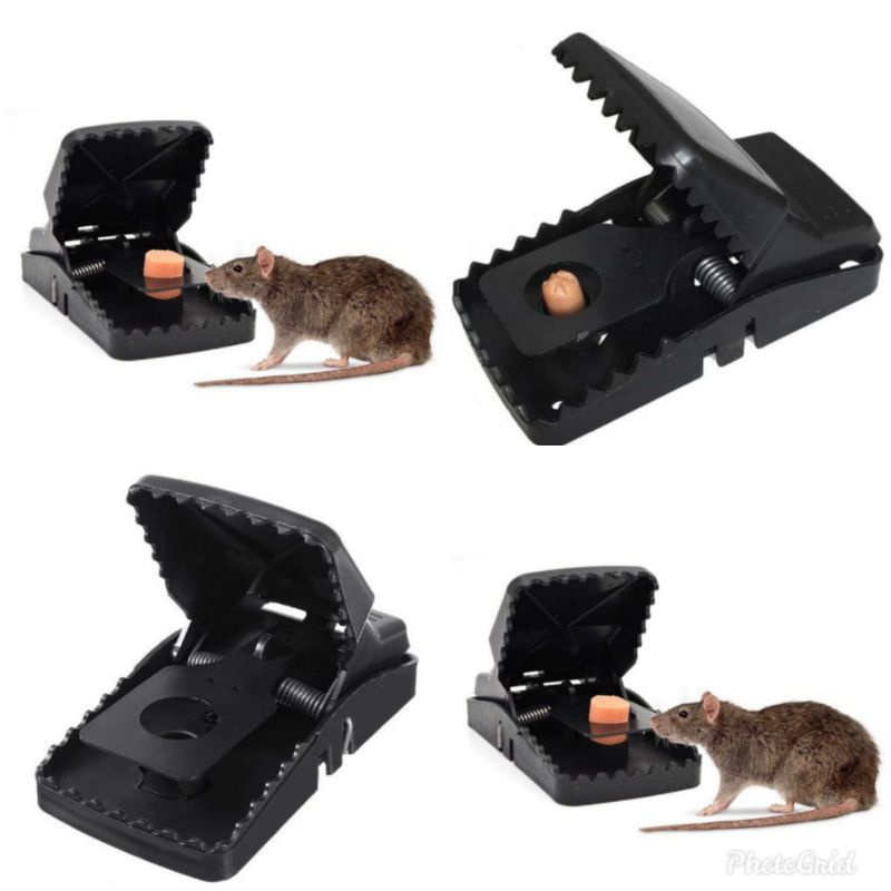 Senteg Perangkap Tikus / Jebakan Tikus Jepit Automatis Mouse Trap Pest Control