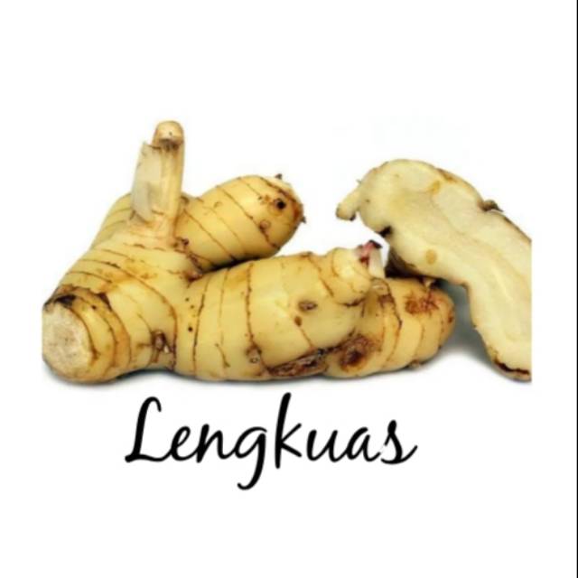

Lengkoas 250 Gram