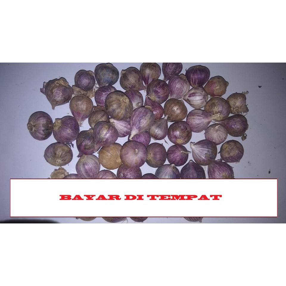 

Bawang putih tunggal lanang 1 KG