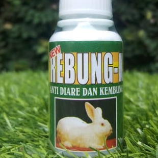 Rebung-K obat untuk diare dan kembung