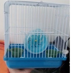 kandang hamster kecil