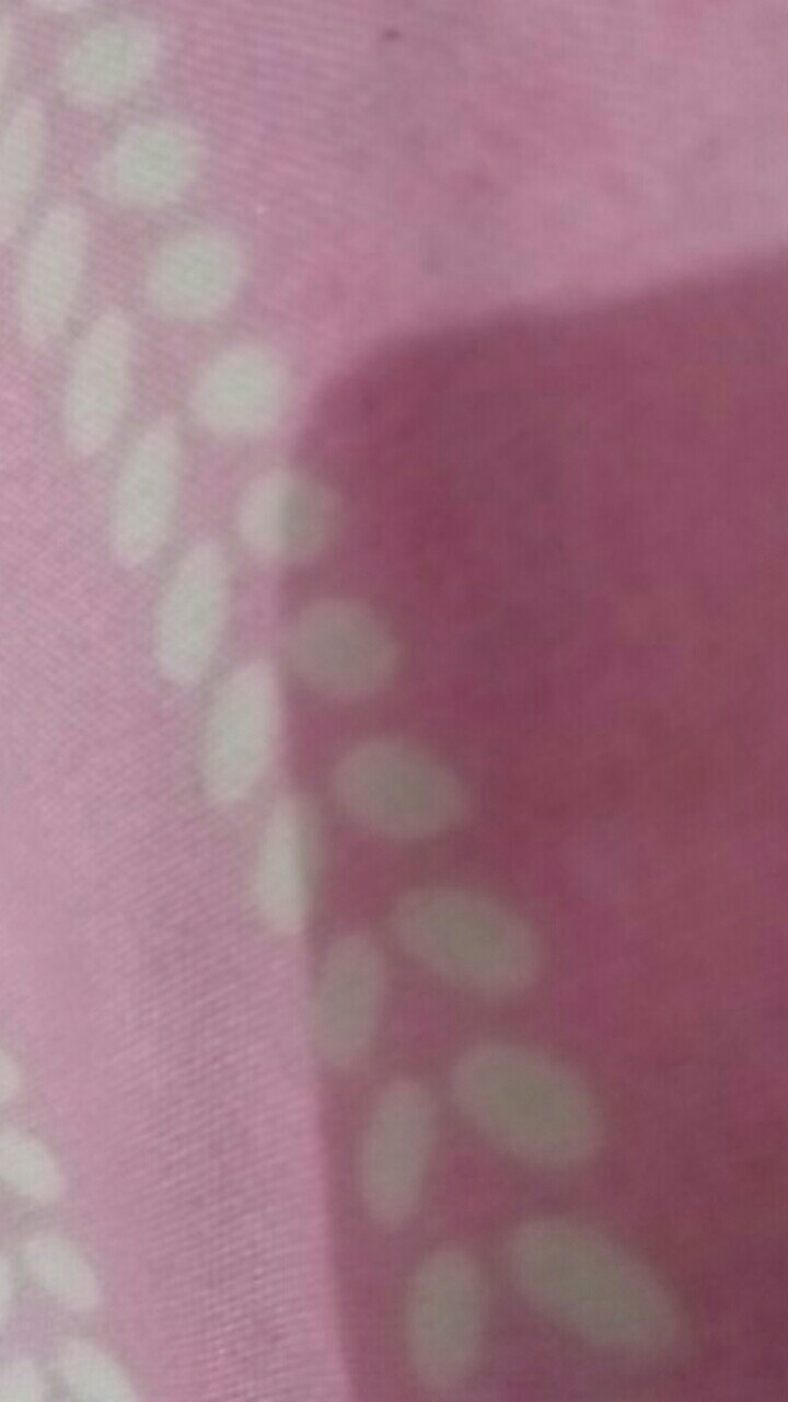 Grendel Tanam / Slot Pintu / 60cm / Flushbolt