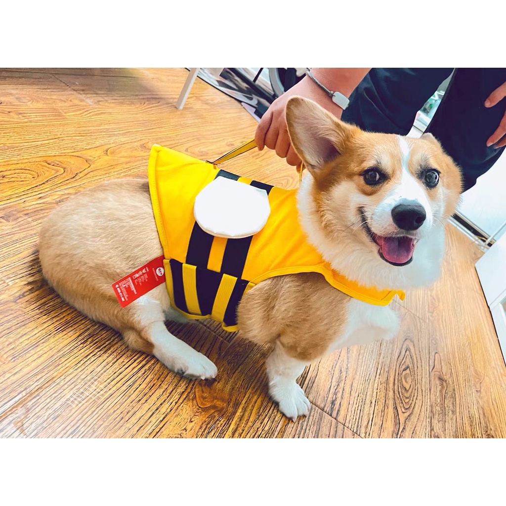 ROMPI pelampung renang anjing hewan kucing pet life vest jacket harness lucu S M L XL