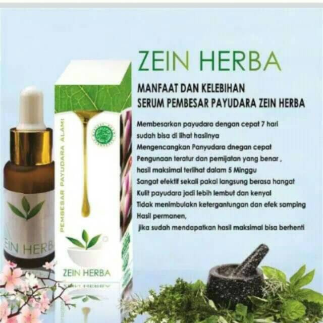 ZEIN HERBA SERUM PEMBESAR PAYUDARA HERBAL ALAMI TERCEPAT