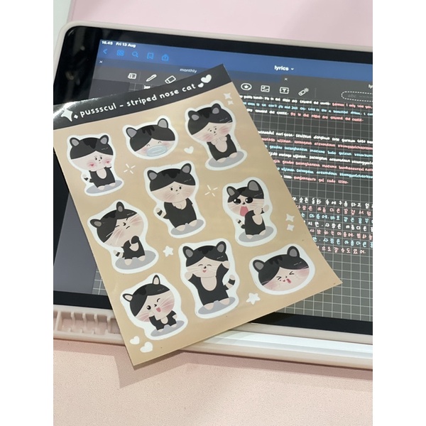 

PUSSSCUL STRIPED NOSE CAT EXPRESSION STICKER SHEET | journaling journal planner stiker