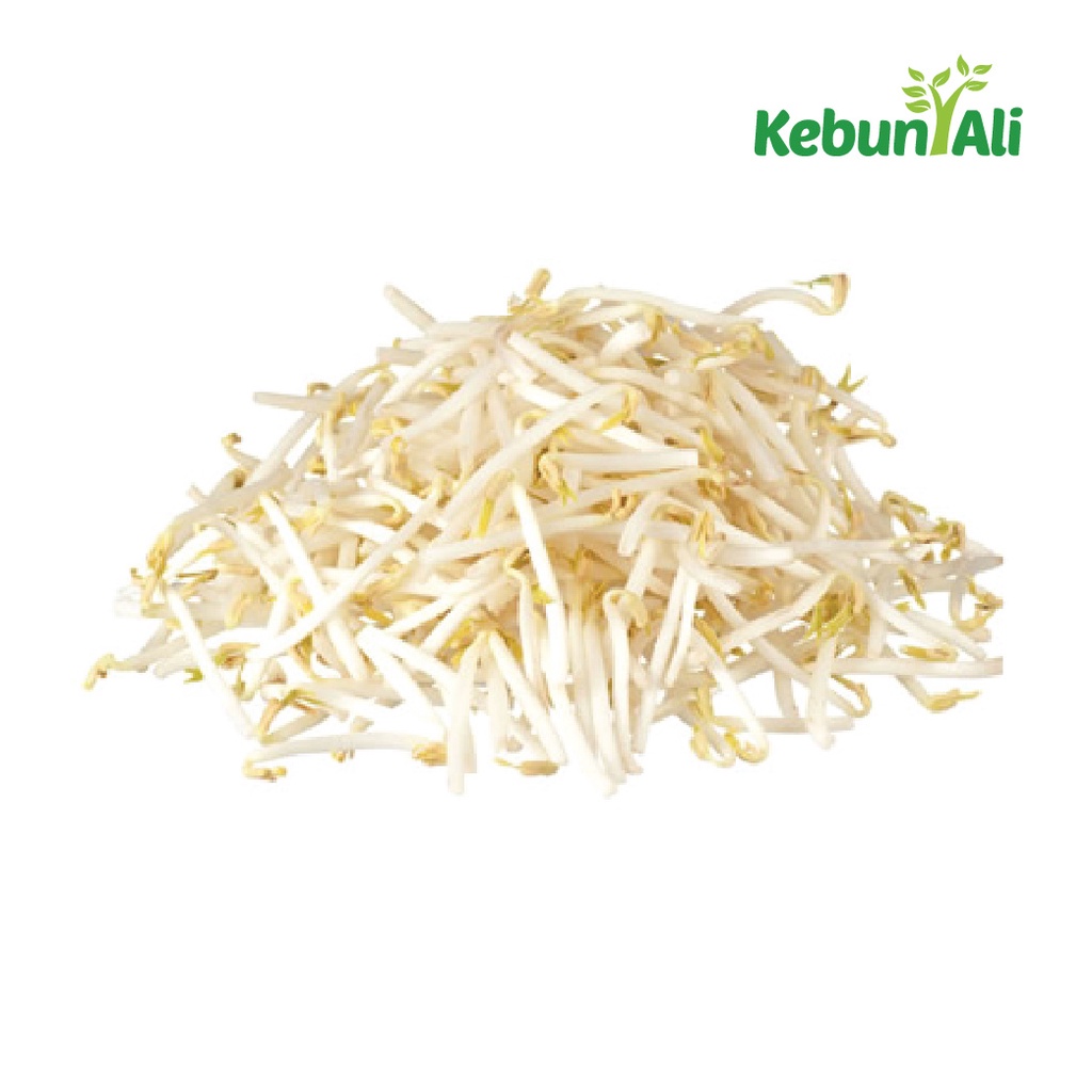 Kebun Ali - Toge Bangkok