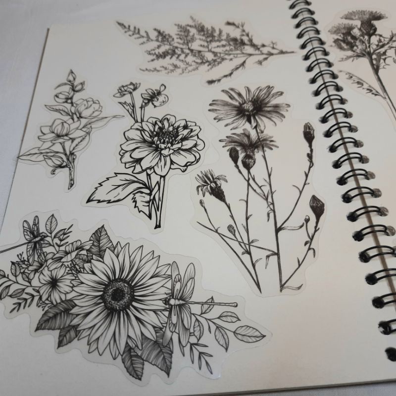 

STIKER AESTHETIC ┃STIKER PLANTS AND FLOWERS MONOCHROME STYLE PET┃STIKER LUCU BUNGA DAN TANAMAN PET ┃STIKER DECO UNTUK JURNAL DAN SCRAPBOOK┃ STIKER HP & TUMBLR ( Random, 5 pcs )