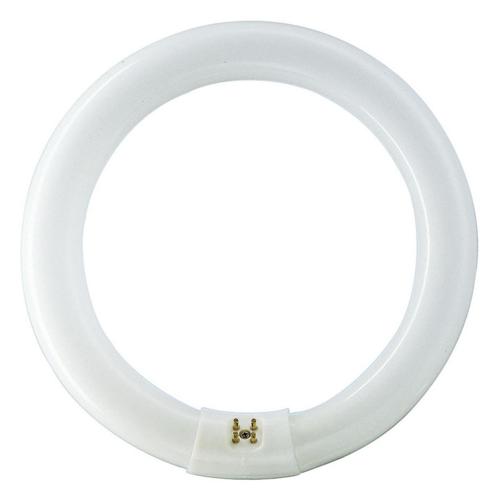 Lampu PHILIPS TL-E RING 22 Watt 22W - 54 CDL CoolDayLight PUTIH