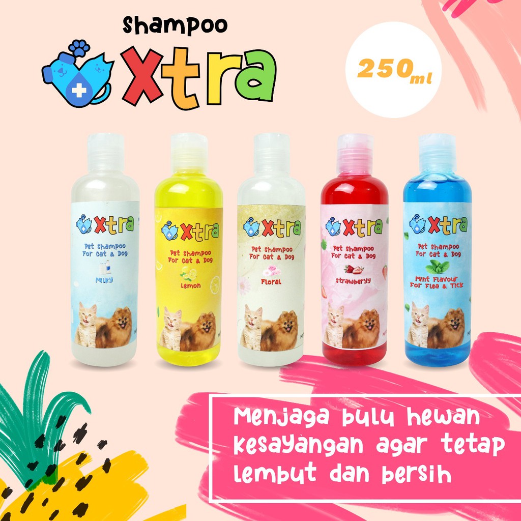 Shampoo Kucing XTRA 250mL - ukuran Jumbo tapi MURAH