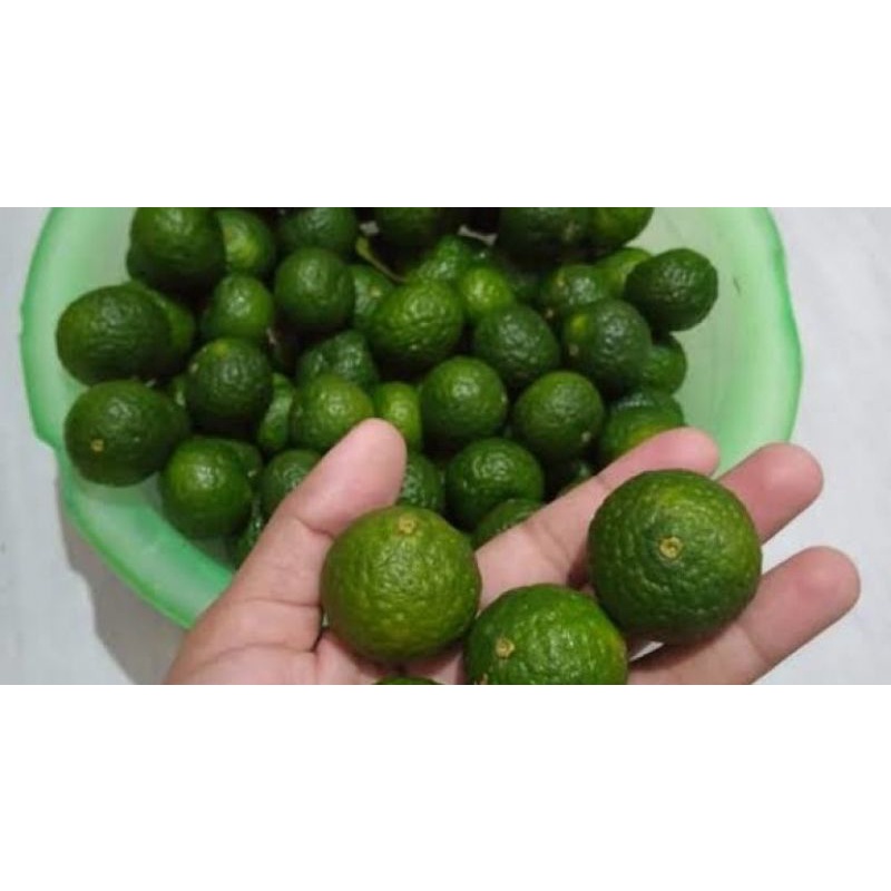 

Jeruk Sambel
