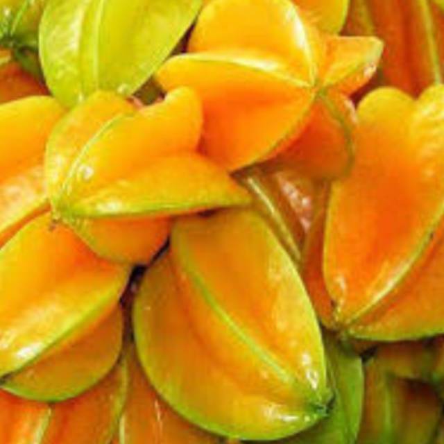 

Belimbing Madu Ganda Segar dan Sehat Per 1kg Rp. 20.000