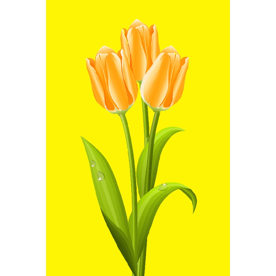 HIASAN DINDING BUNGA TULIP / WALLDECOR BUNGA TULIP