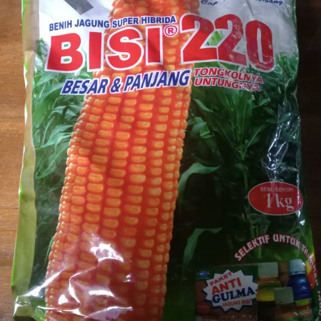 Benih Jagung Super Hibrida Bisi 220