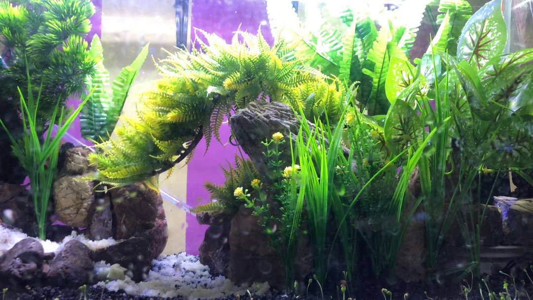 Pohon Bunga Pakis Mini Artificial Tiruan - Pajangan Bunga Palsu Tanaman Mini Imitasi - Vb35