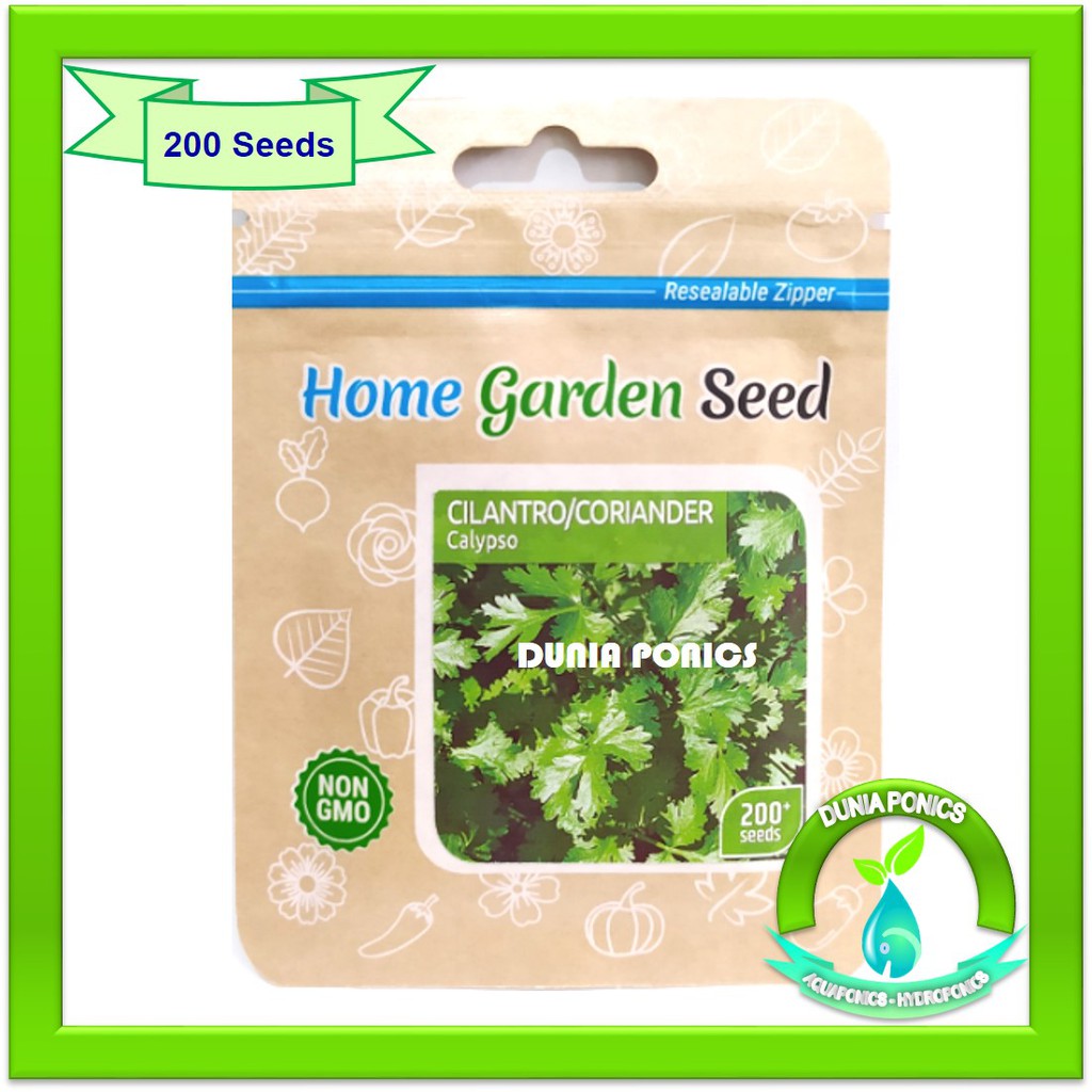 Benih CILANTRO / CORIANDER / KETUMBAR Calypso Home Garden Seed 1 Pack 200 Butir Seed Import