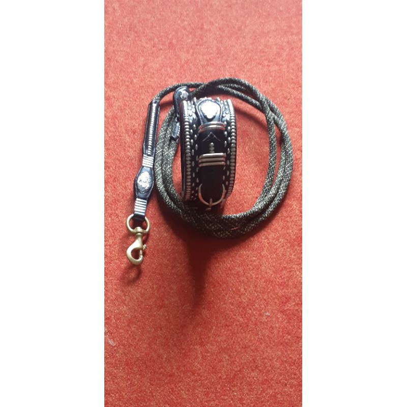 tali anjing pitbull dan bulterrir