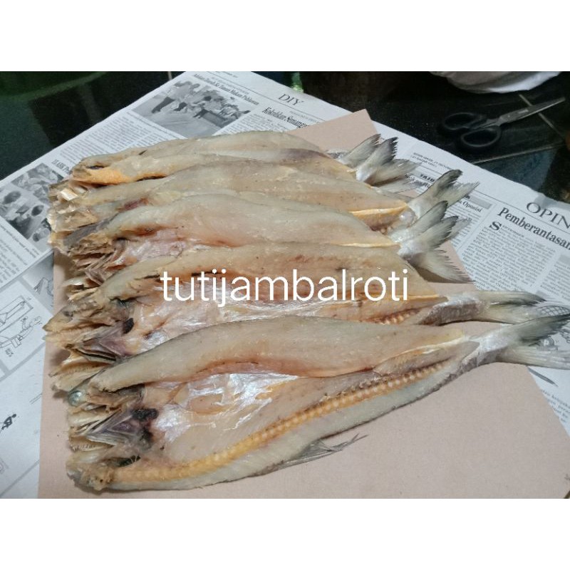 

Ikan asin gabus laut 1kg