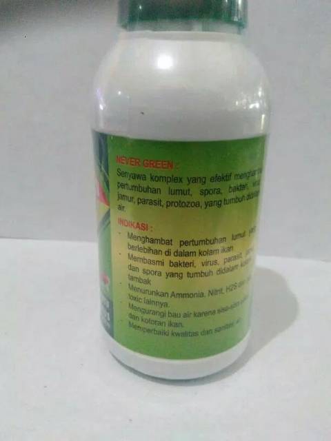 Obat ikan anti lumut NEVER GREEN 250ML