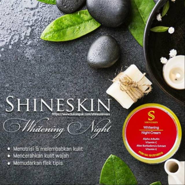 Night Cream shineskin